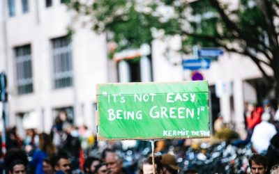 Környezettudatos munkahely 2022-ben: így lesz zöld az iroda