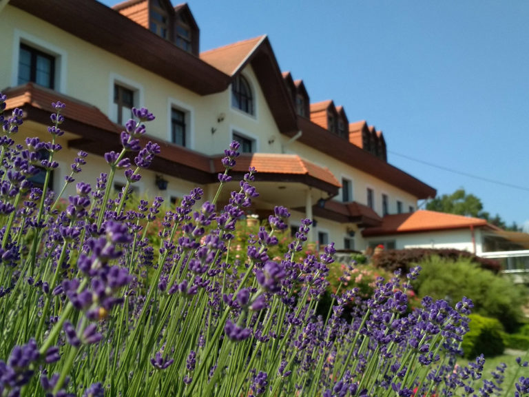 original aacf3c2d0a2e80865 c5da8ebe1b49d0c13a6a32dd389085ab 768x576