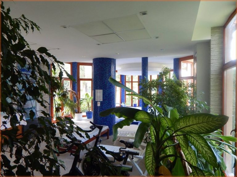 Wellness 2 1024x768 1 768x576