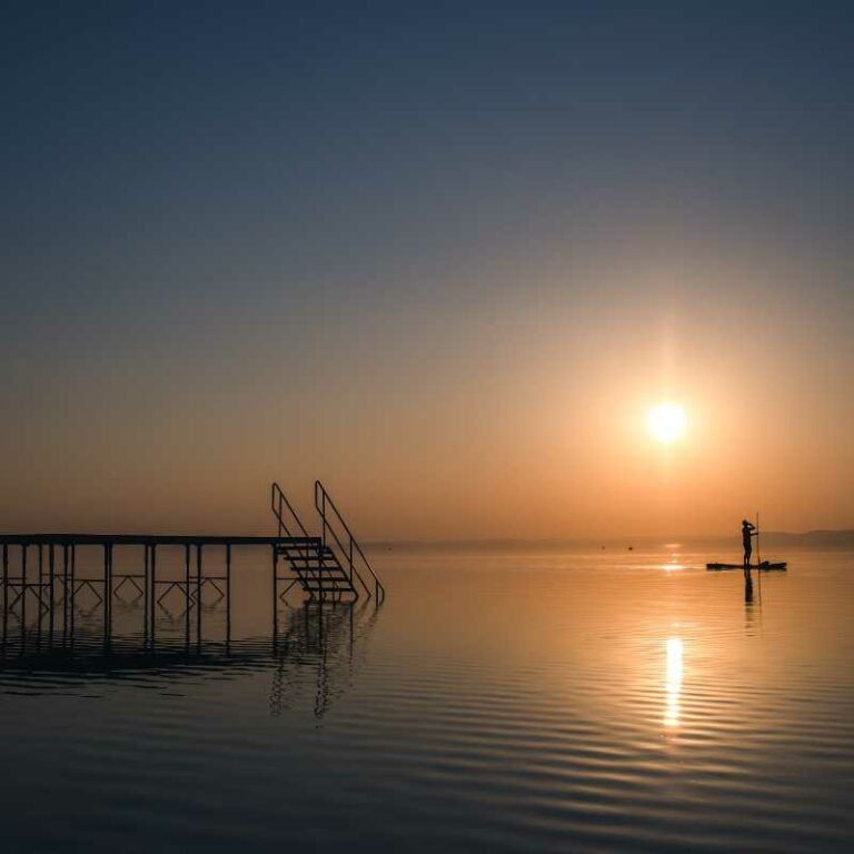 Nevtelen terv 48 768x768