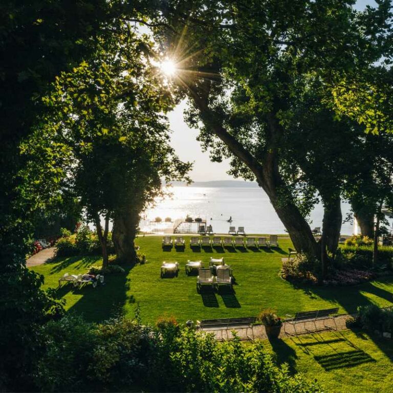 Nevtelen terv 52 768x768