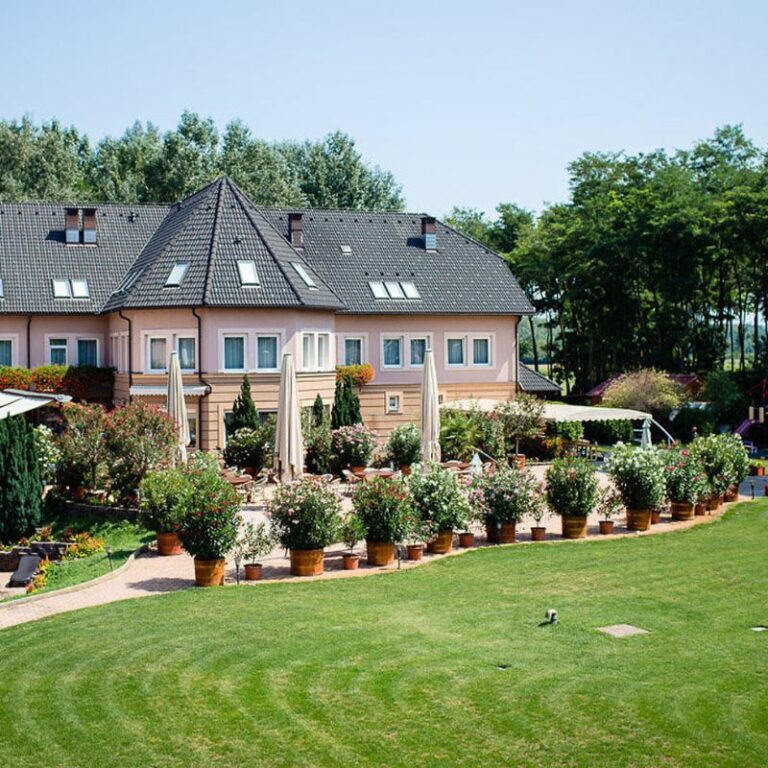 Nevtelen terv 54 1 768x768