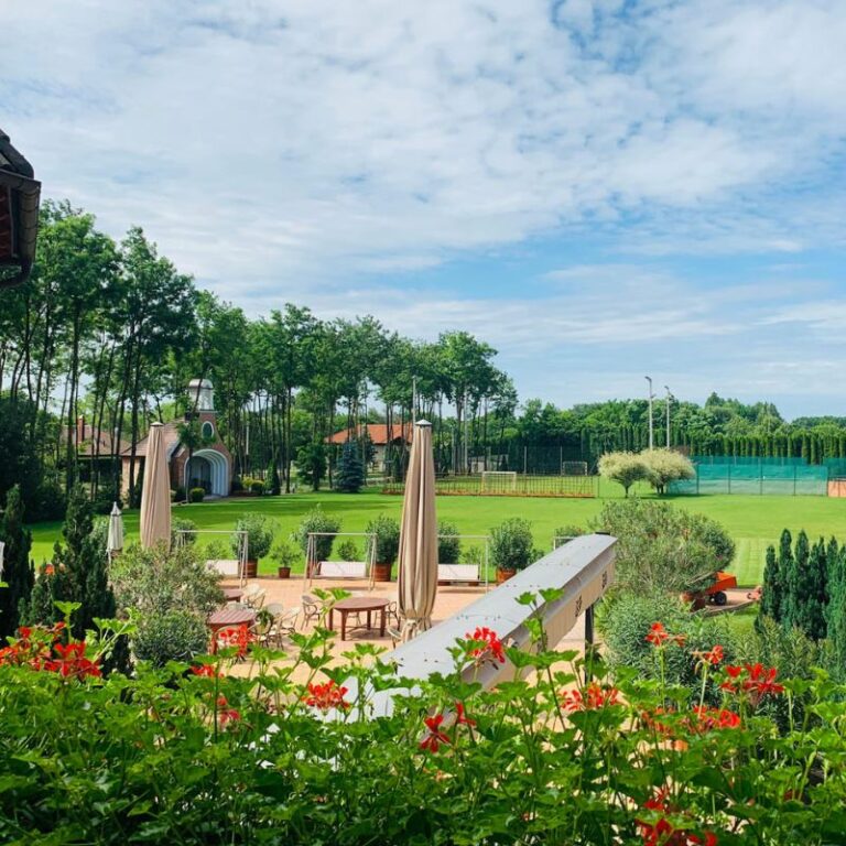 Nevtelen terv 60 1 768x768