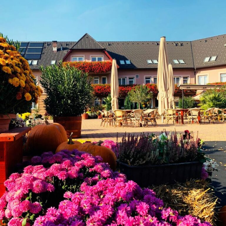 Nevtelen terv 70 1 768x768