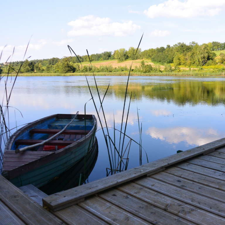 Nevtelen terv 28 768x768