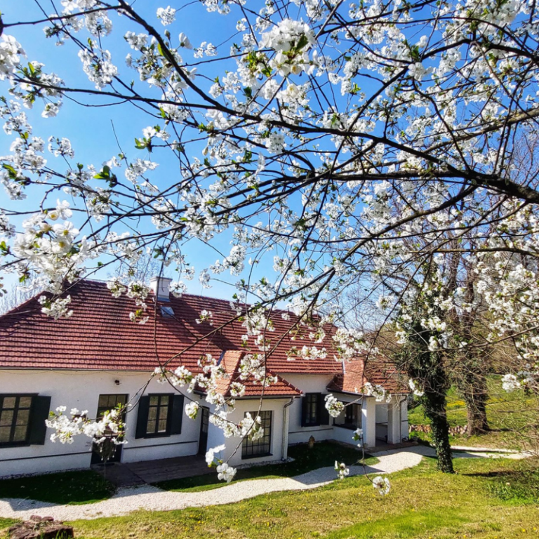 Nevtelen terv 32 768x768