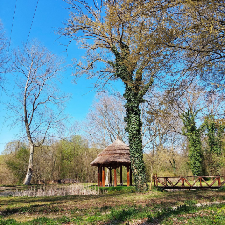 Nevtelen terv 33 768x768