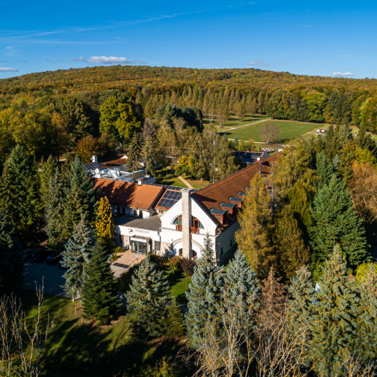 Nevtelen terv 1 768x768