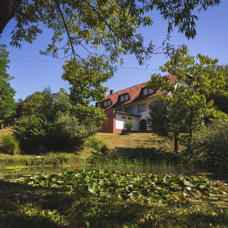 Nevtelen terv 2 768x768