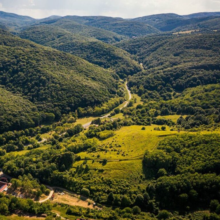 Nevtelen terv 3 768x768