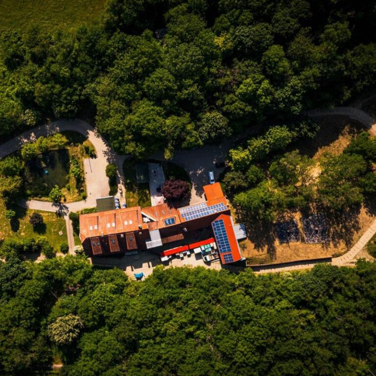 Nevtelen terv 4 768x768