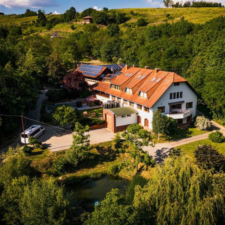 Nevtelen terv 5 768x768