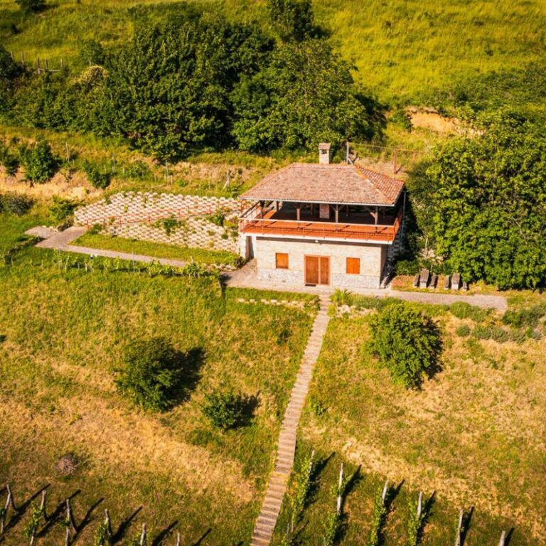 Nevtelen terv 6 768x768