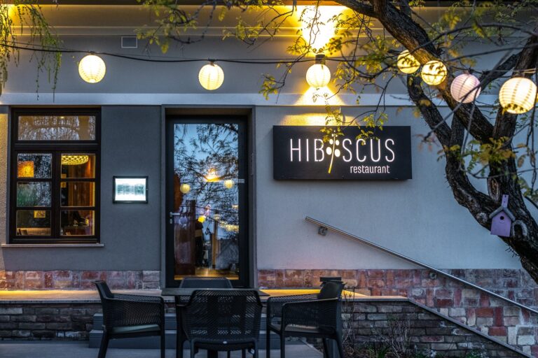 02 Bejarat es terasz 5 768x512